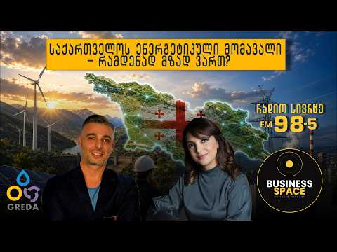 Georgia's energy future: how ready are we? | Maia Melikidze
